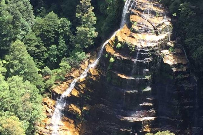 Blue Mountains Private Tour with Kangaroo and Koala Experience - Price and Value: What $301.24 Buys You