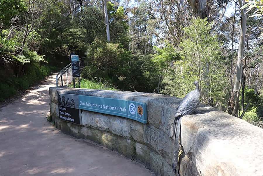 Blue Mountains: Private Tour with Wildlife and River Cruise - Price and value: what you’re buying beyond transport