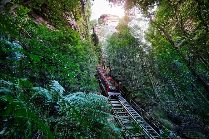 Blue Mountains Small-Group Tour from Sydney with Scenic World,Sydney Zoo & Ferry - Key Things You’ll Notice Before You Go