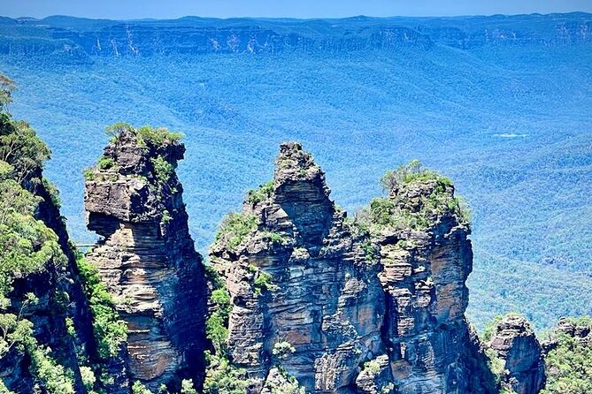 Blue Mountains Small Group Tour w/optional Scenic World & Lunch - Early Start at Featherdale Wildlife Park: the best part of beating crowds