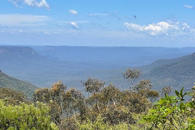 Blue Mountains Small Group Tour w/optional Scenic World & Lunch - Who this tour suits best (and who might want a different plan)