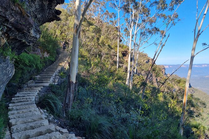 Blue Mountains Small Group Tour with Lunch, Zoo and Scenic World - Scenic World: entry plus the railway and cableway rides