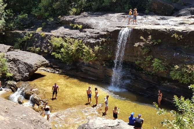 Blue Mountains Small Group Tour with Waterfall Walk & Fresh Lunch - How the guide keeps timing tight and the day fun