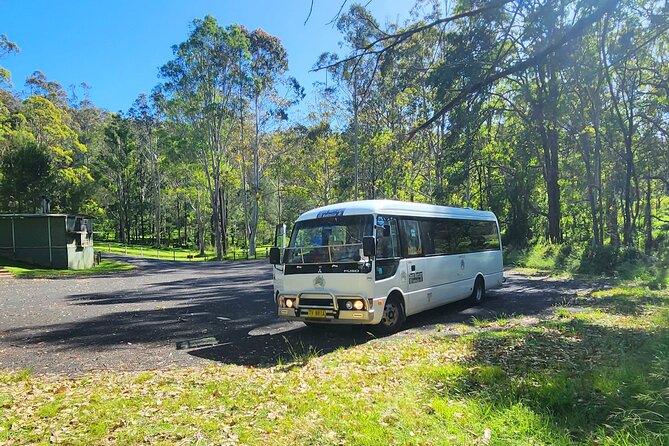Blue Mountains Small Group Tour with Waterfall Walk & Fresh Lunch - Price and value: what you get for $86.07