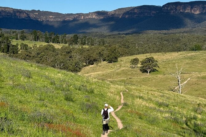Blue Mountains Sunset Tour with Kangaroo Sightings from Sydney - Blue Mountains National Park: what the guide actually helps you see