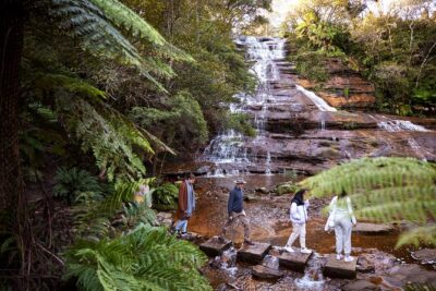 Blue Mountains Sunset Tour with Kangaroo Sightings from Sydney - Getting moving: Sydney to Glenbrook without the stress