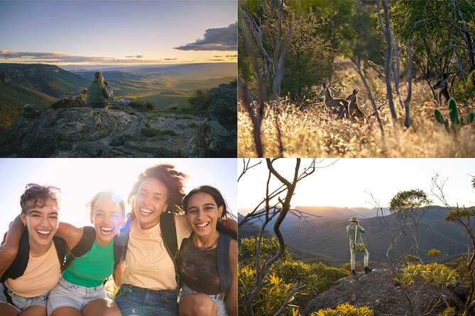 Blue Mountains Sunset Tour with Kangaroo Sightings from Sydney - Wentworth Falls walk: steep stairs, real views, and choices