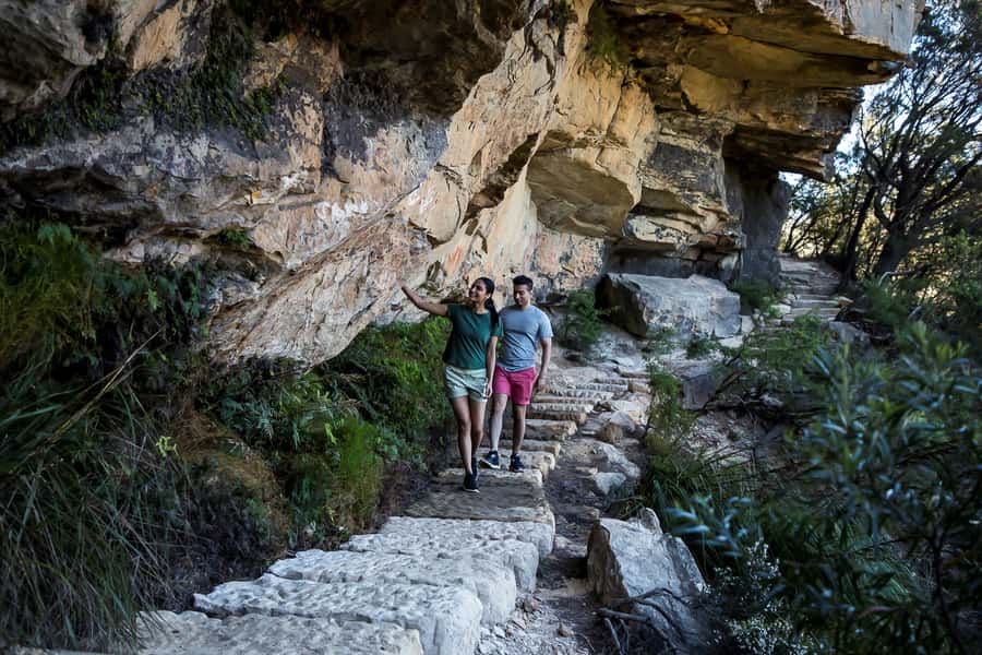Blue Mountains Sunset Waterfalls Wildlife Tour From Sydney - Who Should Book This Blue Mountains Sunset Tour (and Who Should Skip It)