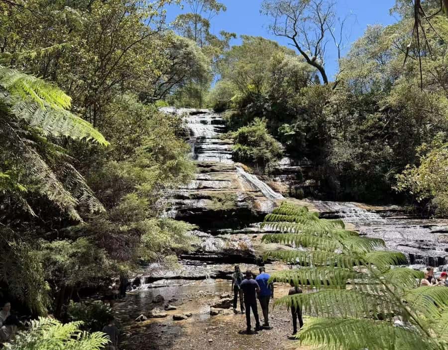 Blue Mountains Tour, Katoomba Falls & Cockatoos Small Group - Key things I’d watch for before you go