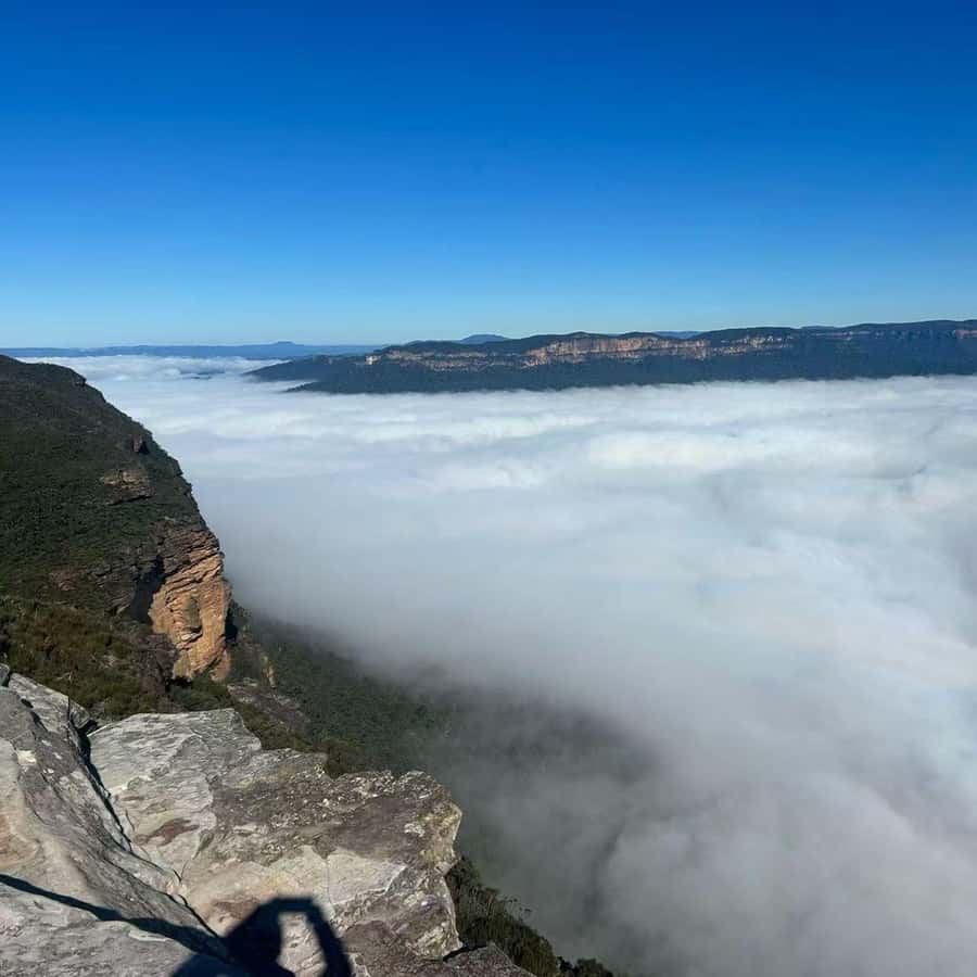 Blue Mountains Tour, Katoomba Falls & Cockatoos Small Group - Echo Point and the Three Sisters: early views are everything