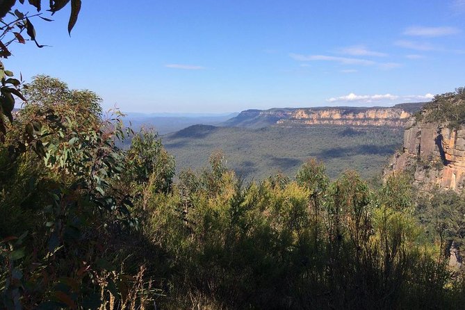 Blue Mountains Tour PRIVATE with Wildlife Park and River Cruise - Leura quick stop: a calm pocket of shops and gardens