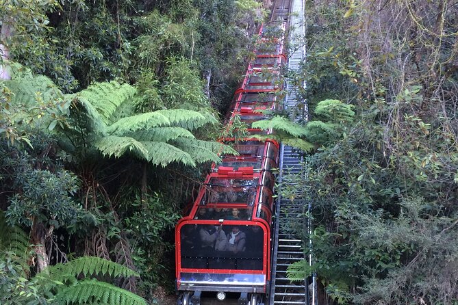 Blue Mountains Tour PRIVATE with Wildlife Park and River Cruise - Cahill’s Lookout and Wentworth Falls Lake: quick bites of variety