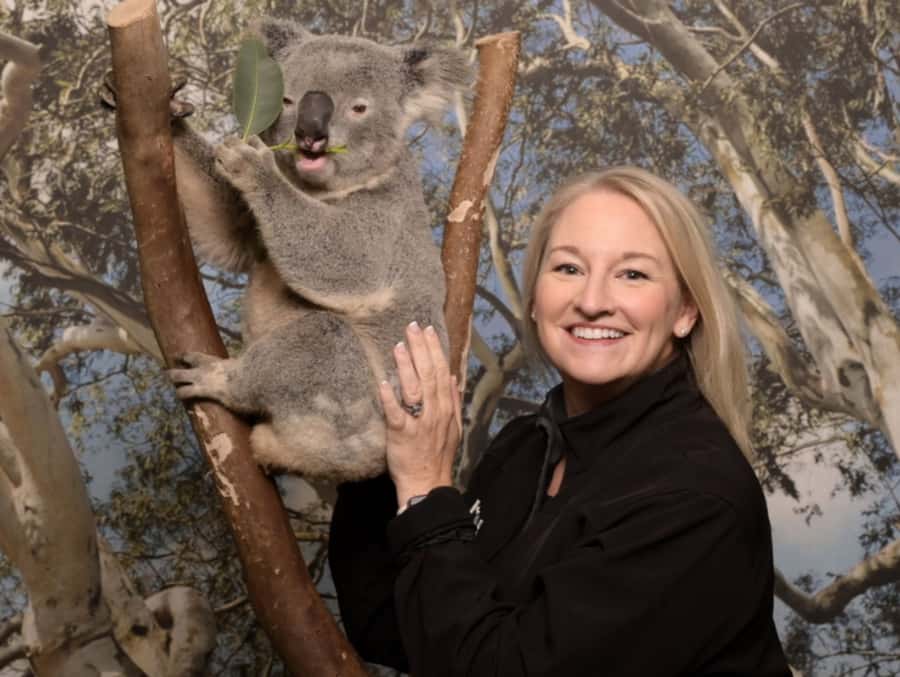Blue Mountains Tour - Small grp, Koala, Kangaroo & Waterfall - A Blue Mountains Day That Balances Views and Wildlife