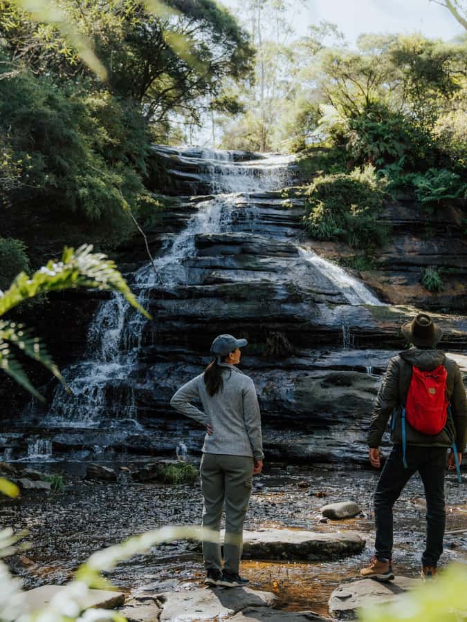 Blue Mountains Tour - Small grp, Koala, Kangaroo & Waterfall - Leura Village Lunch Break: Simple, Central, and Flexible