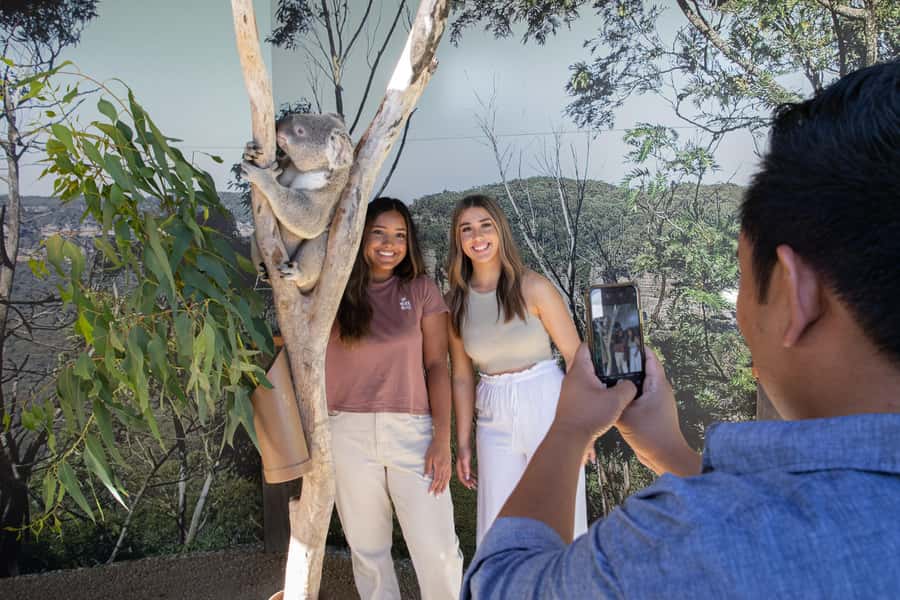 Blue Mountains Tour w/Lunch: Scenic World, Zoo & Koala Photo - Quick hits before you go