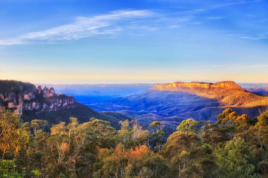 Blue Mountains Tour with Scenic World, Zoo&Bilingual Driver - Key Points Before You Go