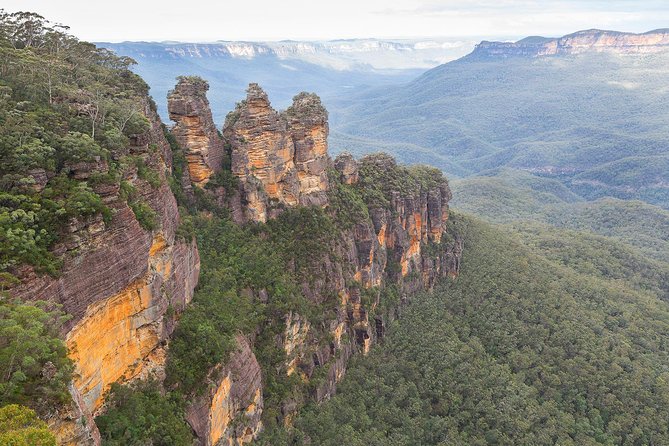 Blue Mountains Ultimate One-Day Tour from Sydney - Featherdale Wildlife Park: the best wildlife stop for a one-day hit