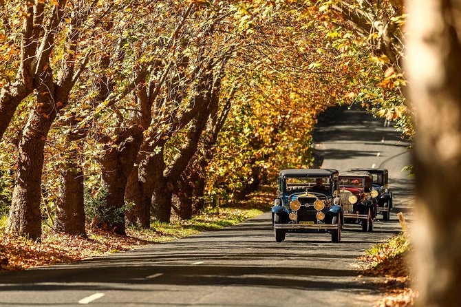 Blue Mountains Vintage Cadillac Tour with Local Guide - The private 2-hour format: fast enough to cover highlights, flexible enough to enjoy them