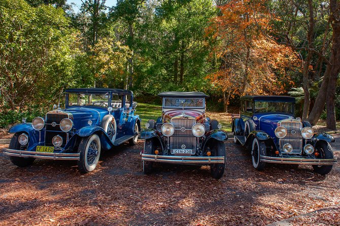 Blue Mountains Vintage Cadillac Tour with Local Guide - Eagle Hawk Lookout and the Cliff Drive rhythm