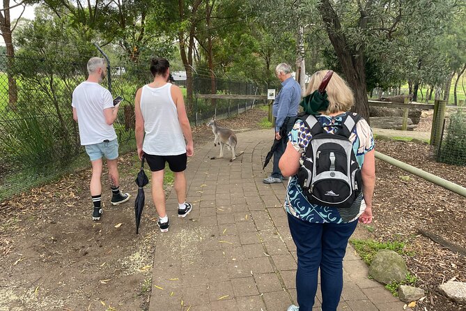 Blue Mountains Wildlife Full-Day Sights and Hiking from Sydney - Price and value: what you’re paying for at $238.84
