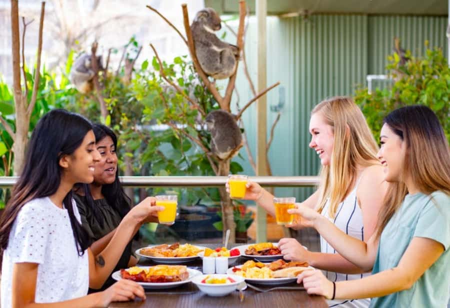Breakfast with Koalas at WILD LIFE Zoo Darling Harbour - Key Highlights You’ll Feel Immediately