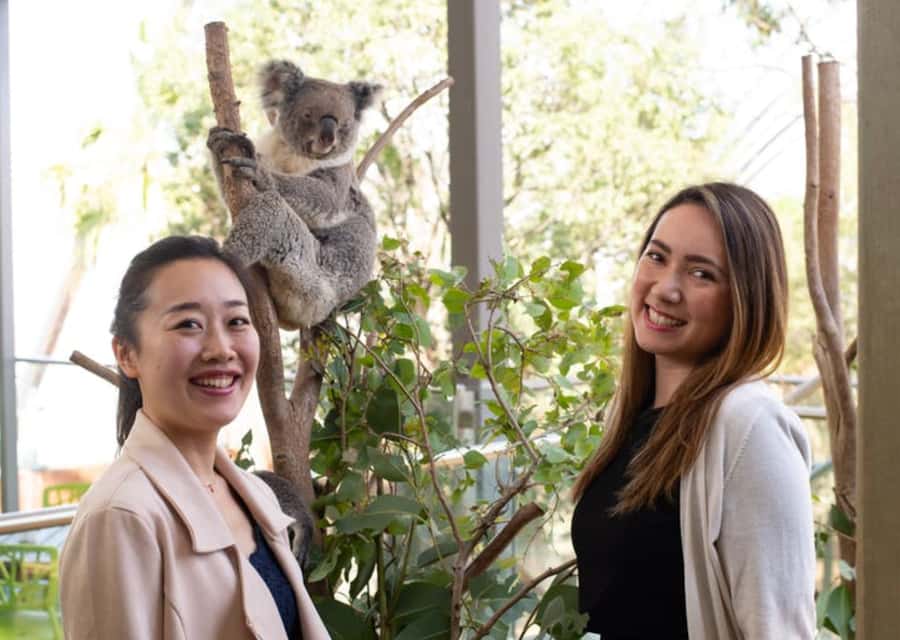 Breakfast with Koalas at WILD LIFE Zoo Darling Harbour - Why This Morning Experience Works at WILD LIFE Sydney Zoo