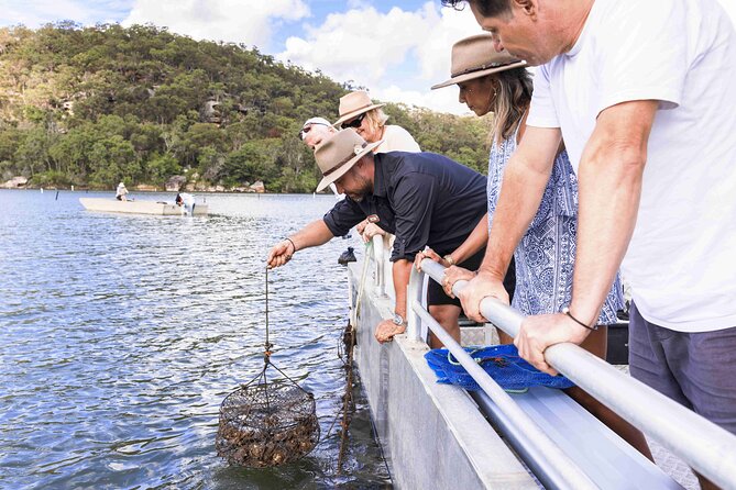 Broken Bay Pearl & Oyster Farm Tours - Broken Bay Pearl Farm for $29: what value really looks like