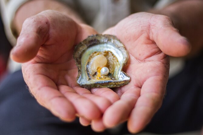 Broken Bay Pearl & Oyster Farm Tours - What you learn: sustainable oyster and pearl farming, explained plainly