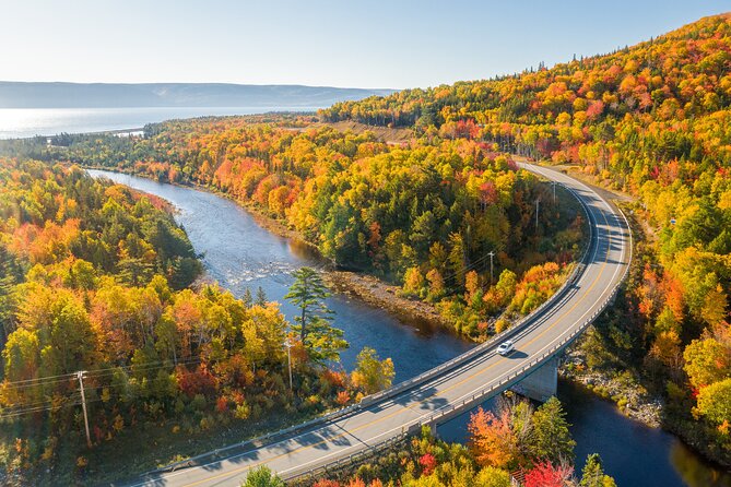 Cabot Trail Bus Tour for Cruise Excursion - Value Check: Is About $129.72 a Good Deal?