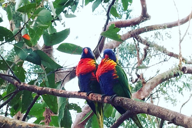 Central Coast Private Tour From Sydney, with Australian Reptile Park Option - Ettalong Beach and the Ettalong Club lunch break