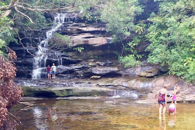 Central Coast Private Tour From Sydney, with Australian Reptile Park Option - Wyong Milk Factory: cheese and chocolate, not just a stop