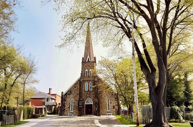 City Sights and Shoreline Tour - Should you book City Sights and Shoreline Tour?