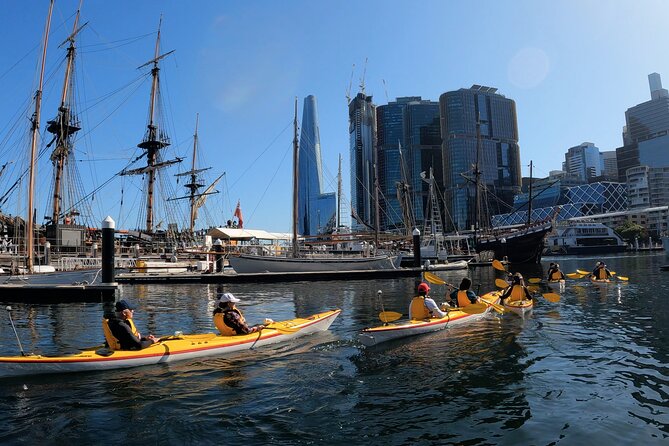 Darling Harbour Explorer - Sea Kayaking Tour - Duyfken and the special thrill of rare-ship sightings