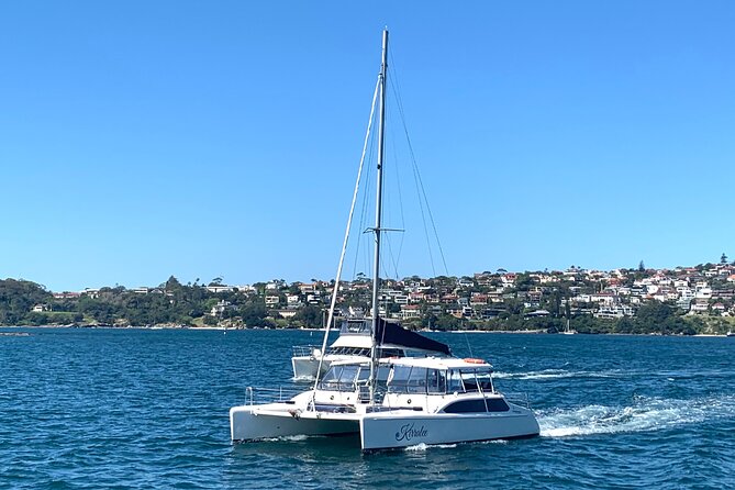 Dogs on Deck Harbour Cruise - Price and value: what $49.49 really covers