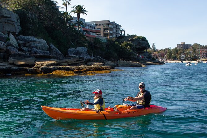 Double Kayak Hire - 4 Hours - North Harbour paddling: what the scenery feels like from the water