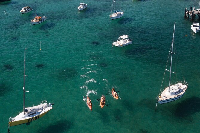 Double Kayak Hire - 4 Hours - Beaches and swim stops: how to build your own mini-itinerary
