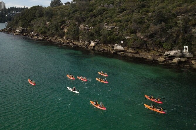 Double Kayak Hire - 4 Hours - Best time and who this suits (and who should skip it)