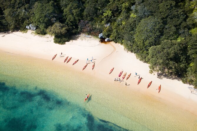 Double Kayak Hire - 4 Hours - What you learn in the briefing (and why it matters)