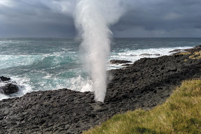 Erupting Blowholes and Ancient Rainforests SOUTH COAST OF SYDNEY PRIVATE TOUR - Key highlights worth your attention
