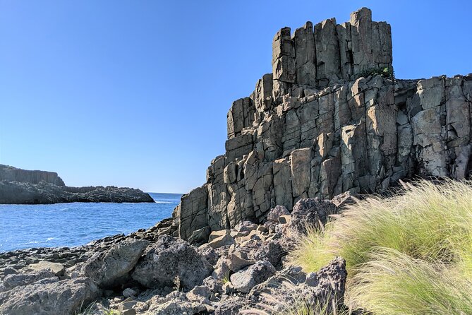 Erupting Blowholes and Ancient Rainforests SOUTH COAST OF SYDNEY PRIVATE TOUR - Kiama blowholes: the main event (and its quieter sister)