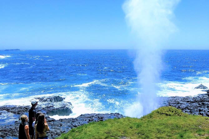 Erupting Blowholes and Ancient Rainforests SOUTH COAST OF SYDNEY PRIVATE TOUR - Morning viewpoints: Stanwell Tops, Austinmer, and the seaside warm-up