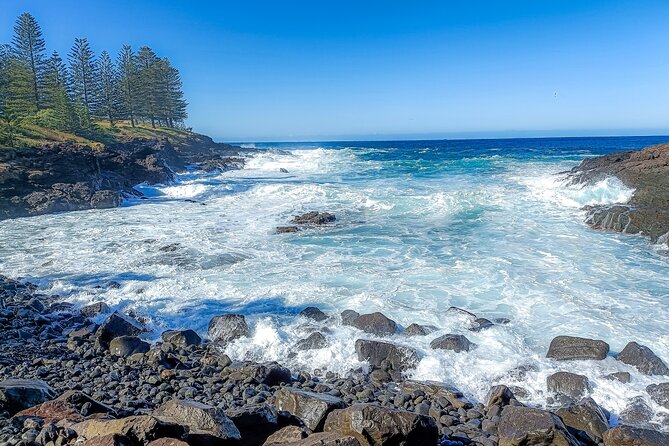 Escape Sydney: Sea Cliff Bridge, Wildlife, Kiama Coast Private - Saddleback Mountain lookout and the 270-degree payoff