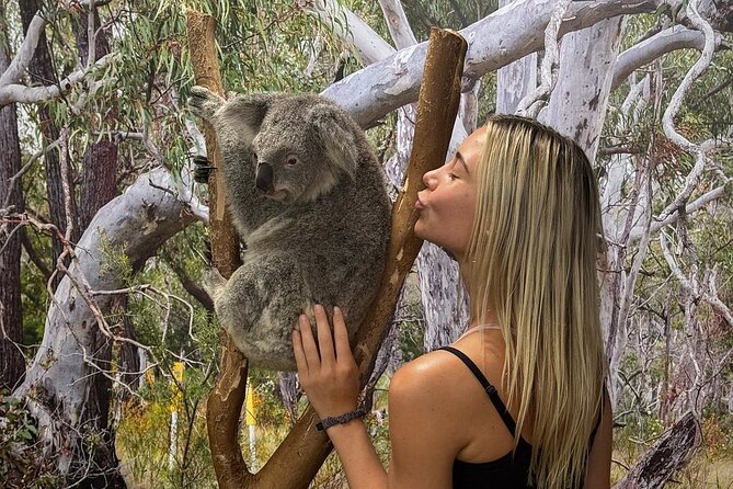 Featherdale Wildlife Park with Exclusive Private Transfers - Quick hits before you go