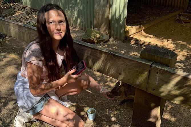 Featherdale Wildlife Park with Exclusive Private Transfers - Inside Featherdale: koalas, kangaroos, wombats, and pacing that matters