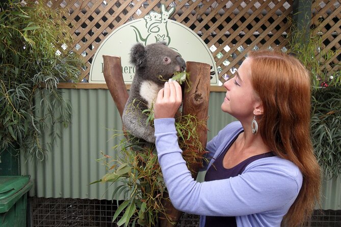 Featherdale Wildlife Park with Exclusive Private Transfers - Best time of day: when animals may be calmer