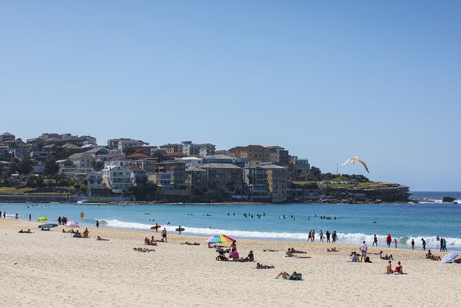 First Timer Sydney Sightseeing & Bondi Beach 1/2 Day Tour - The city drive: Hyde Park, Sydney Tower Eye options, and QVB