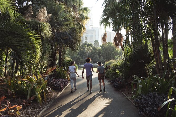 Foraging Tour: Botanical Gardens Walk & Picnic - The Guided Foraging Walk: edible plants, fruits, and herbs you can taste