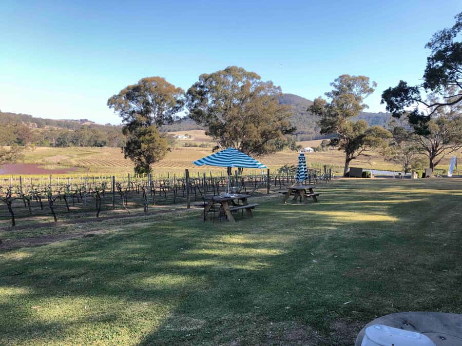 From Haymarket: Hunter Valley Wine and Wildlife Day Trip - Should You Book This Hunter Valley Day Trip?