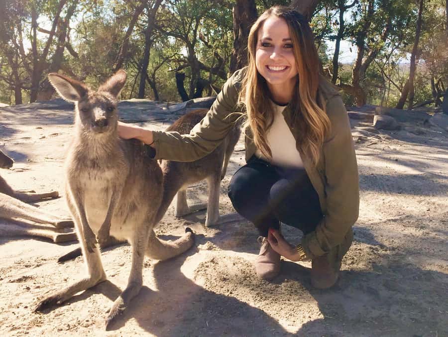 From Haymarket: Hunter Valley Wine and Wildlife Day Trip - Haymarket Pickup to Hunter Valley: How the Minibus Makes It Work