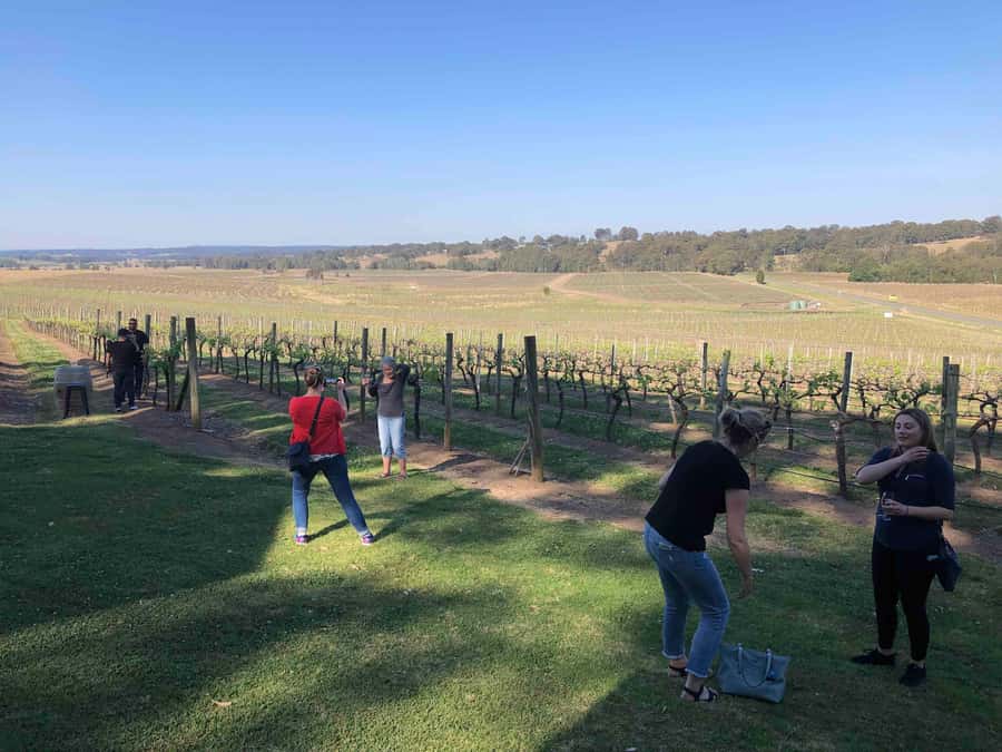 From Haymarket: Hunter Valley Wine and Wildlife Day Trip - Lunch Options in Wine Country: Wine Country Meal or Bring Your Own Picnic